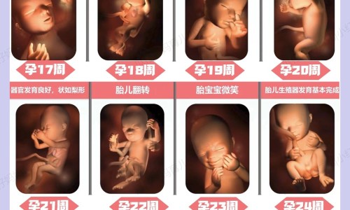 验孕试纸和排卵试纸有什么区别网验孕试纸怀孕显示图知识网站,分享验孕试纸怀孕多少天可以验出来大全